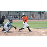 Mike Dowd of the Long Island Ducks