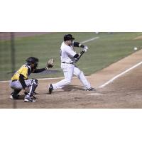 Lew Ford of the Long Island Ducks at the Plate