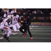 Orlando Predators WR Brandon Thompkins vs. the Jacksonville Sharks