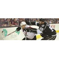 Ontario Reign vs. the Lake Erie Monsters