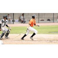 Anthony Vega of the Long Island Ducks