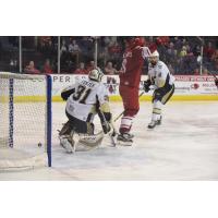 Allen Americans Celebrate a Goal vs. the Wheeling Nailers