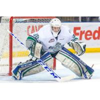 Goaltender Landon Bow with the Seattle Thunderbirds