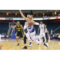 Halifax Hurricanes Guard Joel Friesen Drives vs. the London Lightning