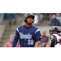 Corpus Christi Hooks Catcher Roberto Pena