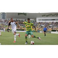 Georgi Hristov of the Tampa Bay Rowdies