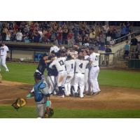 Somerset Patriots Celebrate Matt Fields' Walk-Off Home Run