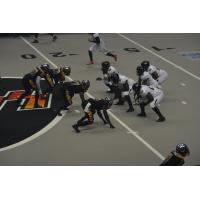 Orlando Predators vs. the LA KISS