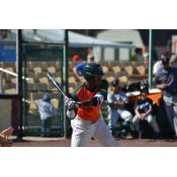 Chris Botsoe of the Green Bay Bullfrogs