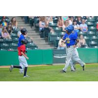 Sioux Falls Canaries in Action