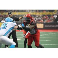 Tampa Bay Storm Defensive Lineman Torrey Davis (99) with the Jacksonville Sharks