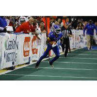 Tampa Bay Storm WR T.T. Toliver