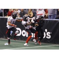 Cleveland Gladiators vs. the Orlando Predators