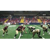 Lehigh Valley Steelhawks vs. the West Michigan Ironmen