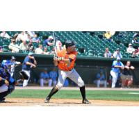 Fehlandt Lentini of the Long Island Ducks