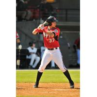 Carolina Mudcats First Baseman Joey Meneses