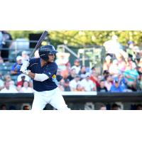 Gioskar Amaya of the Myrtle Beach Pelicans