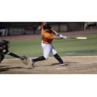 Mike Dowd of the Long Island Ducks