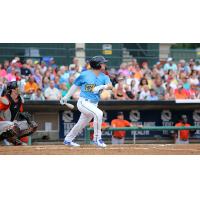 Ian Happ of the Myrtle Beach Pelicans