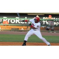 Brandon Allen of the Louisville Bats