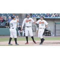 Long Island Ducks Celebrate an Anthony Vega Home Run
