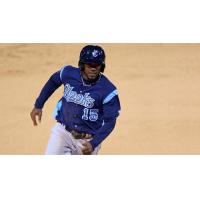 Teoscar Hernandez of the Corpus Christi Hooks