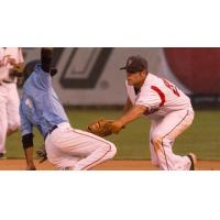 John Riley of the Salem-Keizer Volcanoes Applies a Tag