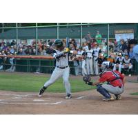 Colton Onstott of the Green Bay Bullfrogs