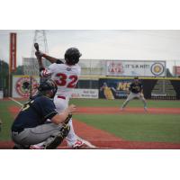 Andrew Godbold of the Florence Freedom