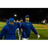 Sioux Falls Canaries Exchange High Fives