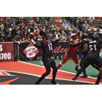 Orlando Predators QB Randy Hippeard vs. the Jacksonville Sharks