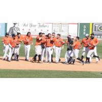 Long Island Ducks Celebrate Walk-Off Win