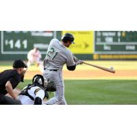 Long Island Ducks Catcher Mike Blanke at the Plate