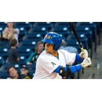 Midland RockHounds Designated Hitter Viosergy Rosa