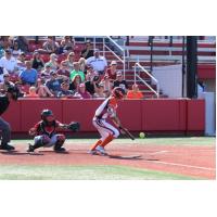 Sammy Marshall of the Chicago Bandits