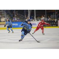 Sioux Falls Stampede Forward Kieffer Bellows Advances the Puck