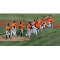 Long Island Ducks Exchange High Fives