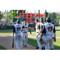 Green Bay Bullfrogs Exchange Congratulations