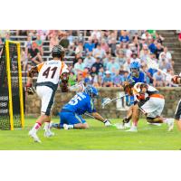 Charlotte Hounds and Atlanta Blaze Scramble for a Loose Ball