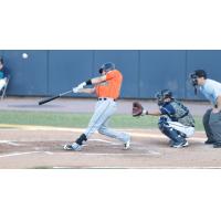 Mike Dowd of the Long Island Ducks