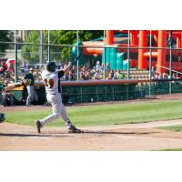 Green Bay Bullfrogs Infielder Quincy Nieporte