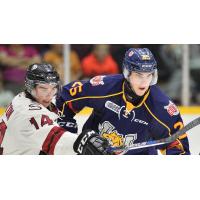 Julius Nattinen with the Barrie Colts