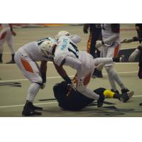 Al Phillips and the Arizona Rattlers Deliver a Hit vs. the LA KISS