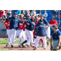 Victoria HarbourCats Celebrate Walk Off