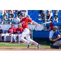 Ben Polshuk of the Victoria HarbourCats Singles for the Walk-Off Win