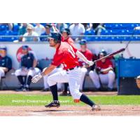 Jarron Silva of the Victoria HarbourCats