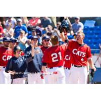 Griffin Andreychuk (21) Celebrates his Home Run with Victoria HarbourCats Teammates