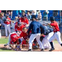 Victoria HarbourCats Walk-Off Celebration