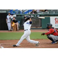 Trenton Thunder Catcher Kyle Higashioka