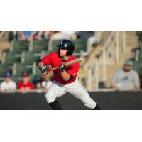 Kannapolis Intimidators OF Tyler Sullivan Prepares to Lay Down a Bunt